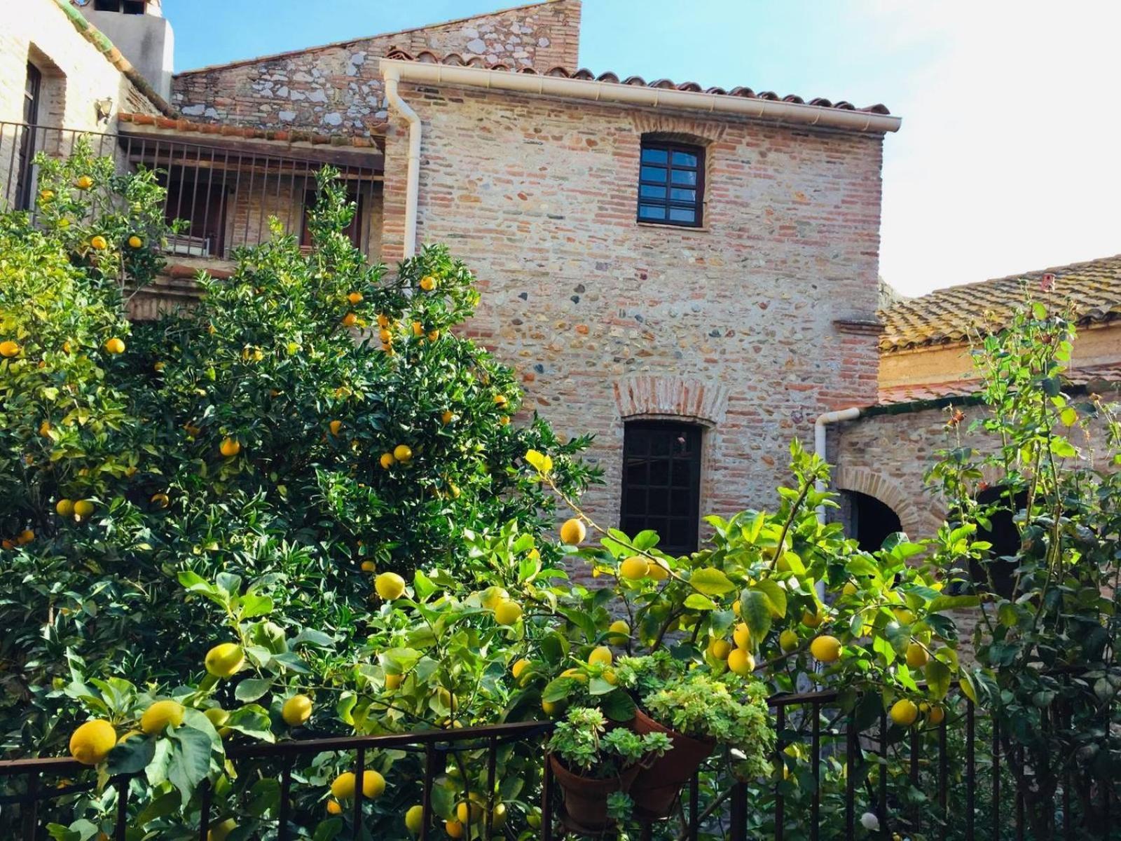 Hotel La Vieille Demeure à Torreilles Extérieur photo